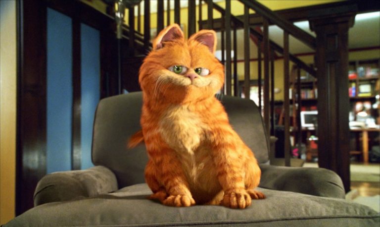 Il Gatto Di Gargamella Come Si Chiama