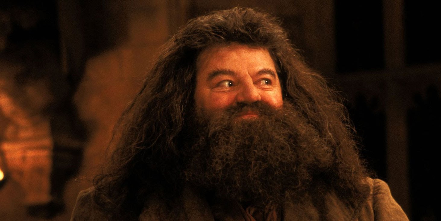 Harry Potter Il Significato Nascosto nel Nome dei Personaggi Principali The HotCorn